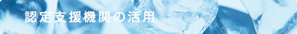 認定支援機関の活用